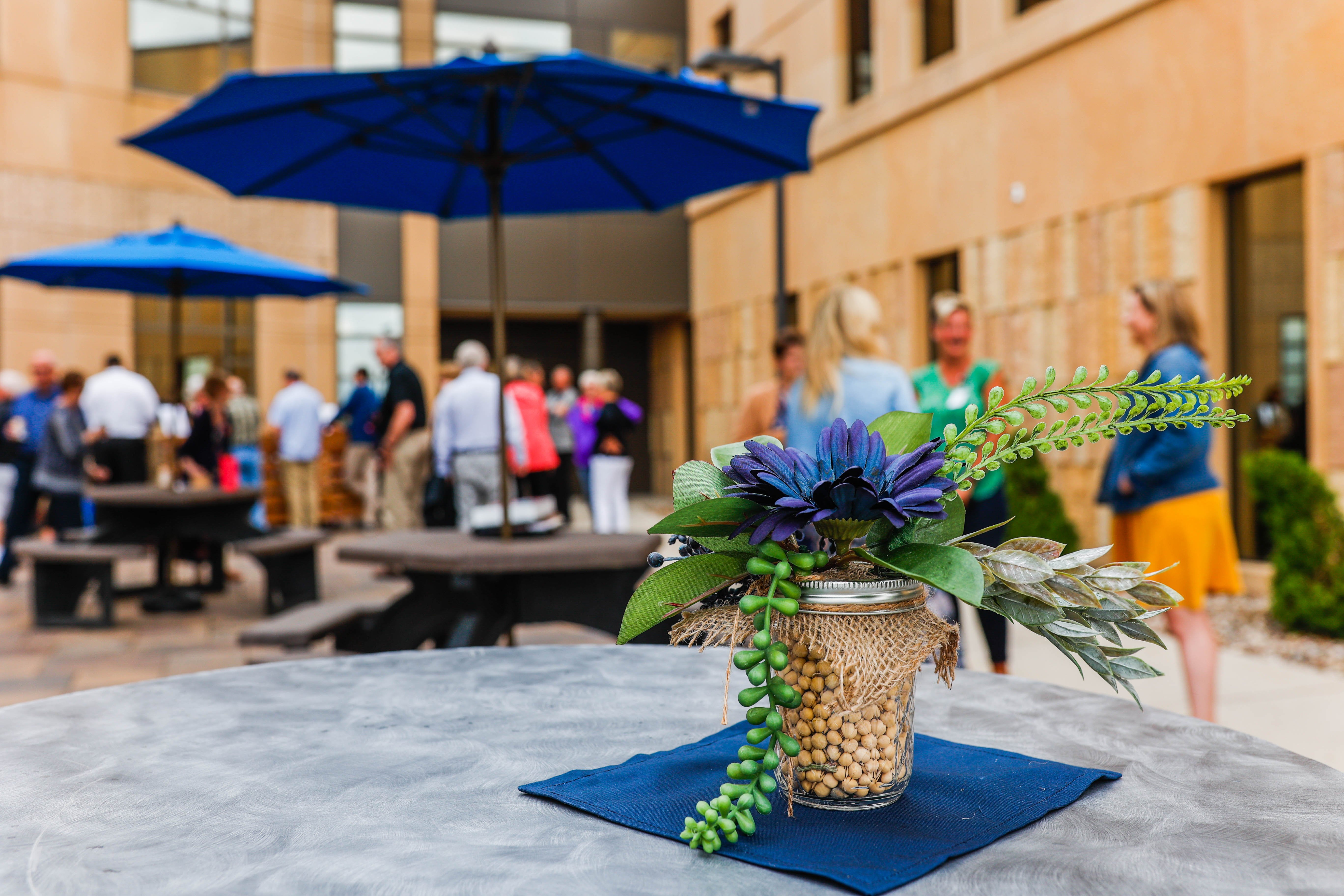 Summer Family Picnic