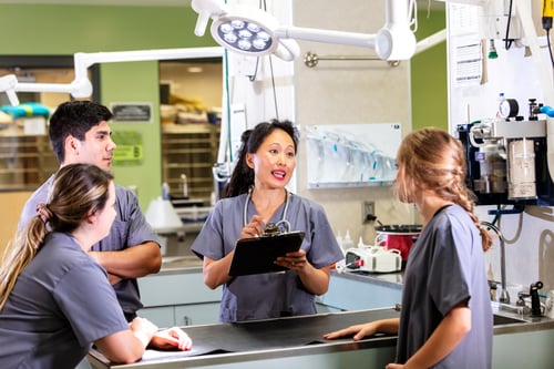 Veterinary Students in Lab Veterinary Students in Lab