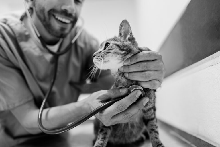 a265d883-438f-4e44-ae8f-5606b1955d07-768x512